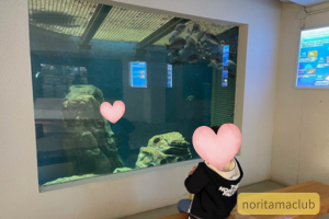 ベンチで休憩しながら魚を見る子ども