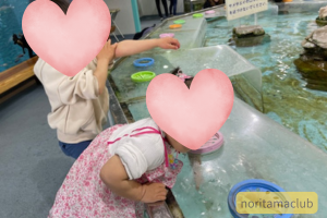 ふれあいプールで遊ぶ子ども