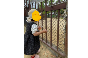 姫路城ヤギにエサやりをする子ども