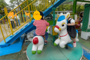 姫路市立動物園の乗り物に乗る子ども